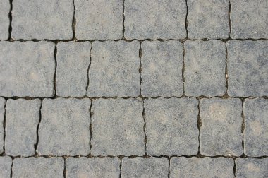 Arka plan olarak gri taş dokusuna kadar yakın