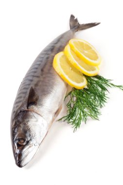 Beyaz arka plan üzerinde izole bir taze uskumru