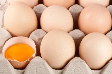 Yumurta içinde belgili tanımlık tepsi bir arka plan olarak