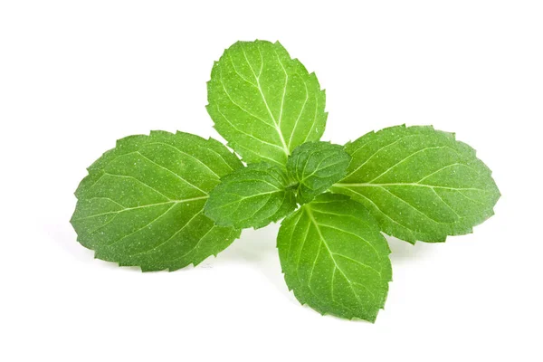 Fresh mint leaves closeup isolated on white background — Stock Photo, Image