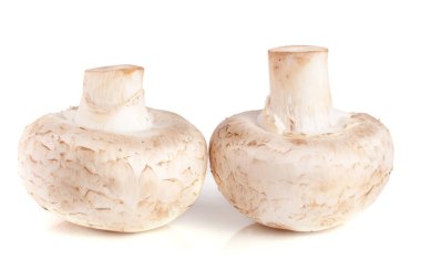 Beyaz arka plan üzerinde izole iki taze champignon mantar