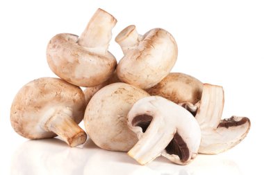 Champignon bir demet izole üzerinde beyaz arka plan mantar