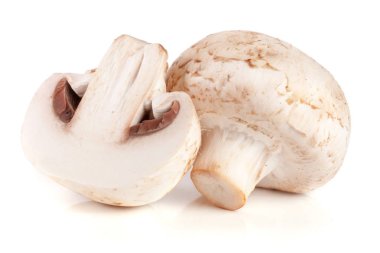 champignon mantar ve yarısı beyaz arka plan üzerinde izole