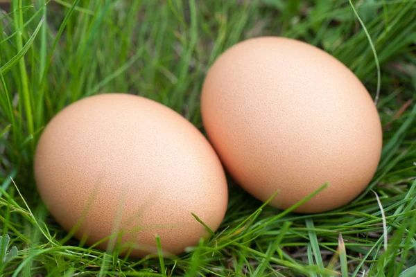 Два куриных яйца, лежащие в гнезде зеленой травы — стоковое фото