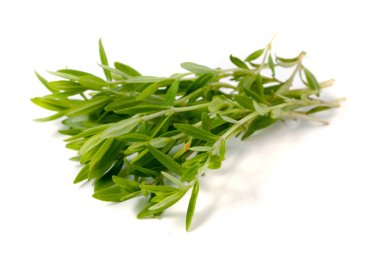 Kekik taze bitkisi beyaz arkaplanda izole edilmiş.