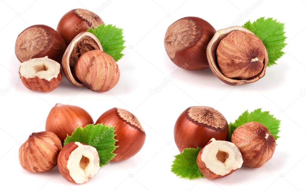 Hazelnuts with a leaf isolated on white background. Set or collection