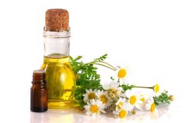 Beyaz arka planda özgün yağ ve taze papatya çiçekleri bulunan şişe.