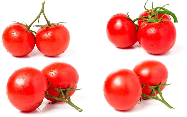 Tomates isolados em um fundo brancoclose up. Conjunto ou coleção — Fotografia de Stock
