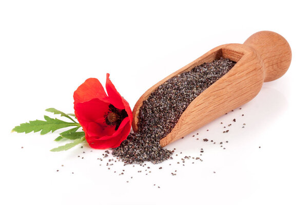 Poppy seeds in a wooden scoop with a flower