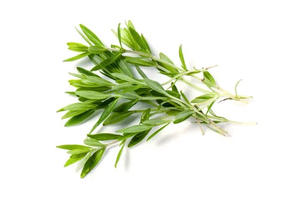 Thyme fresh herb isolated on white background — Stock Photo, Image