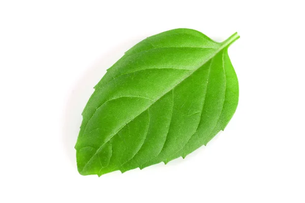 Βασιλικό φύλλα βότανο που απομονώνονται σε λευκό φόντο closeup — Φωτογραφία Αρχείου