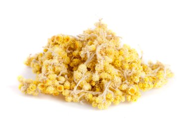 Beyaz arka plan üzerinde izole kuru Helichrysum veya rengi bozulmayan çiçek çiçekler