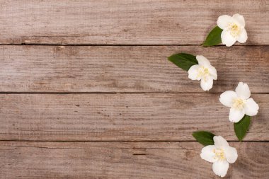 Eski ahşap arka plan kopya alanı metni ile çerçeve Yasemin çiçekleri. Üstten Görünüm. Düğün davetiye kartı