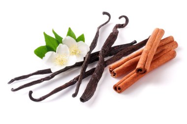 Vanilya çubukları ve tarçın ile beyaz arka plan üzerinde izole çiçek