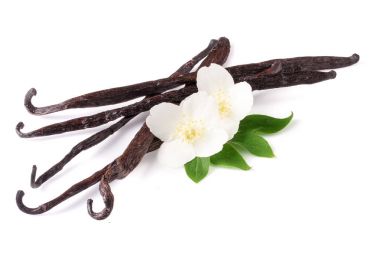 Çiçek ve yaprak beyaz arka plan üzerinde izole ile vanilya çubukları