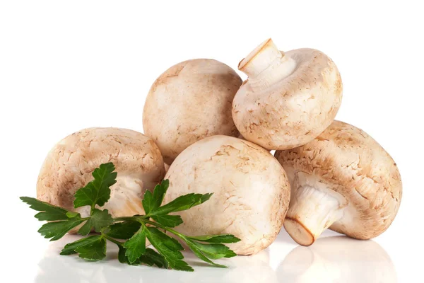 Um bando de cogumelos champignon com salsa de folha isolada em fundo branco — Fotografia de Stock