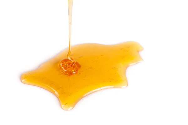 Honigfleck isoliert auf weißem Hintergrund — Stockfoto