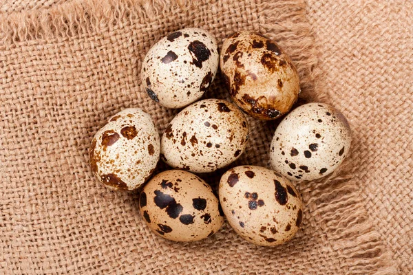 Several quail eggs on burlap. Close-up. Top view — Stock Photo, Image