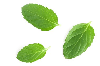 Beyaz arkaplanda izole edilmiş taze nane yaprakları