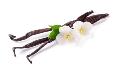 Çiçek ve yaprak beyaz arka plan üzerinde izole ile vanilya çubukları