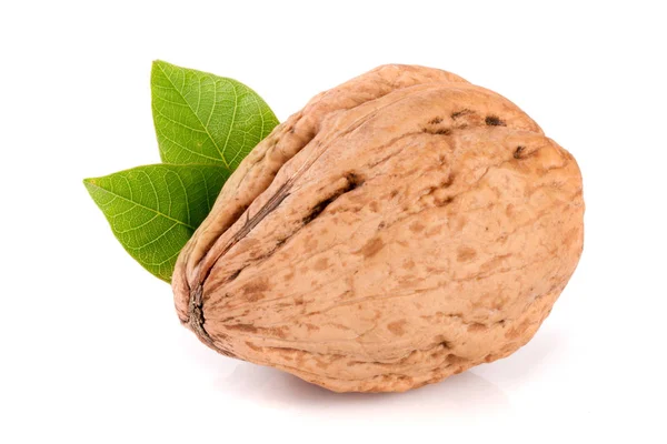 Nueces con hoja aislada sobre fondo blanco — Foto de Stock