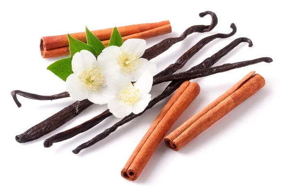 Stik vanili dan kayu manis dengan bunga terisolasi pada latar belakang putih — Stok Foto