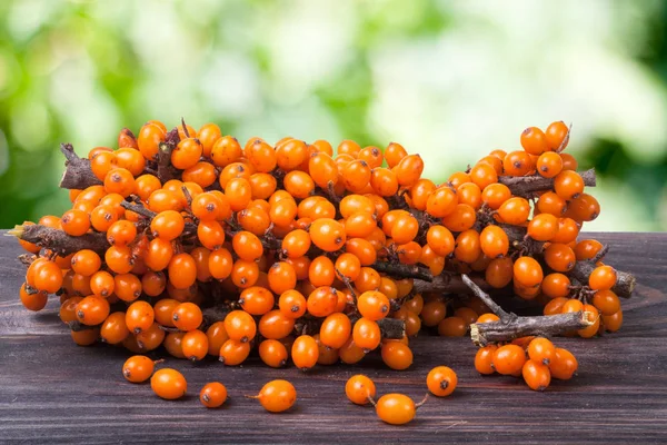 Frangula Alnus, Rhamnaceae větev na dřevěný stůl s rozmazané pozadí zahradní moře — Stock fotografie