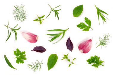 Taze baharat ve otlar beyaz arka plan üzerinde izole. Dereotu maydanoz fesleğen kekik tarhun sarımsak. Üstten Görünüm