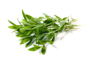 Kekik taze bitkisi beyaz arkaplanda izole edilmiş.