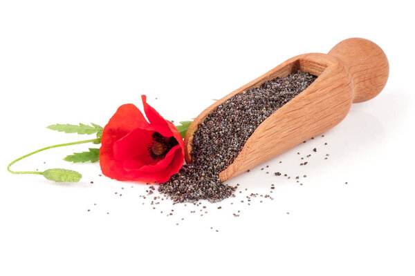 Poppy seeds in a wooden scoop with a flower