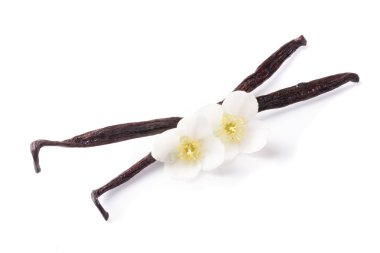 Beyaz arka plan üzerinde izole çiçek ile vanilya çubukları