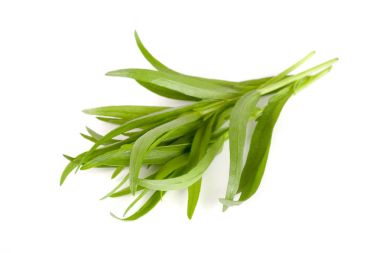 Beyaz bir arka plan üzerinde izole tarhun. Artemisia dracunculus