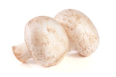 Beyaz arka plan üzerinde izole iki taze champignon mantar