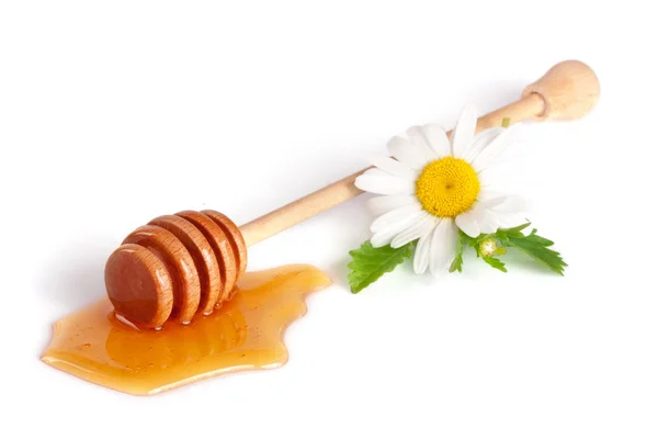 흐르는 꿀와 카모마일 흰색 배경에 고립의 꽃 꿀 스틱 — 스톡 사진