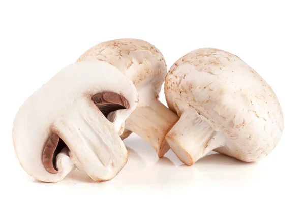 Cogumelos de champignon frescos isolados sobre fundo branco — Fotografia de Stock