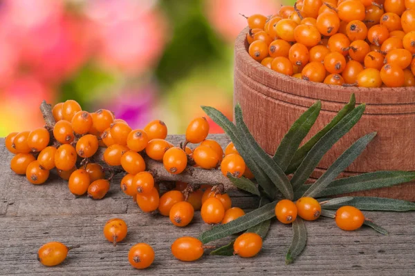 Deniz topalak meyveleri ile Bahçe arka plan bulanık tabloda ahşap bir kasede