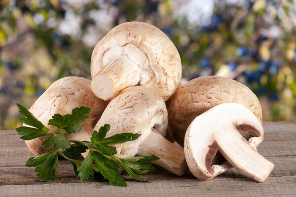 Грибы Шампиньон на деревянном столе на размытом фоне сада
