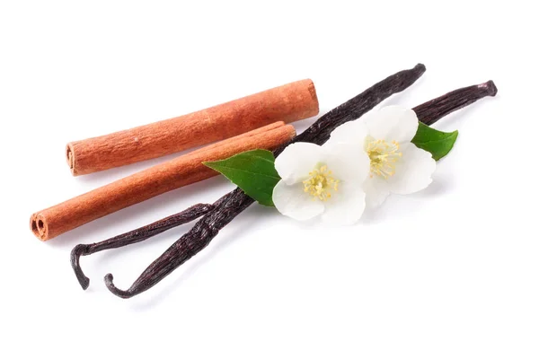 Stik vanili dan kayu manis dengan bunga terisolasi pada latar belakang putih — Stok Foto