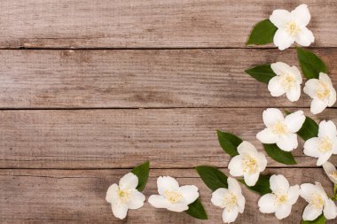 Eski ahşap arka plan kopya spa ile çerçeve Yasemin çiçekleri