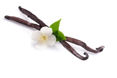 Çiçek ve yaprak beyaz arka plan üzerinde izole ile vanilya çubukları