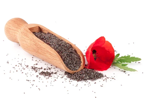 Semillas de amapola en una cucharada de madera con una flor —  Fotos de Stock