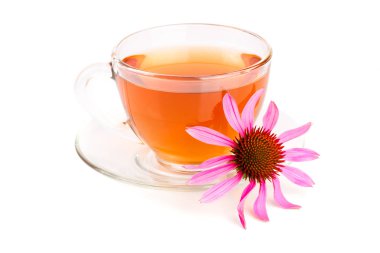 Beyaz arka plan üzerinde izole Ekinezya çayı. Şifalı çay