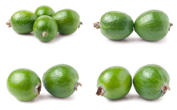 Hele feijoa geïsoleerd op een witte achtergrond. Set of collectie — Stockfoto