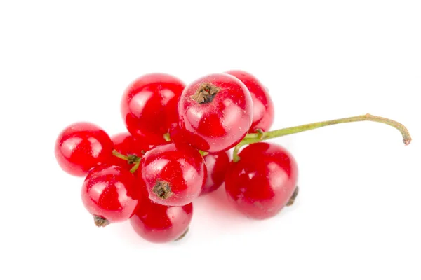 Ягоди червоної смородини ізольовані на білому тлі — стокове фото