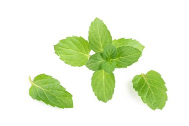 Beyaz arkaplanda izole edilmiş taze nane yaprakları