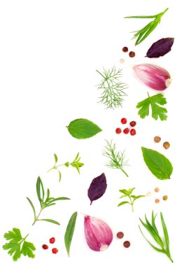 Taze baharat ve otlar beyaz arka plan üzerinde izole. Dereotu parsle