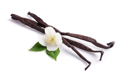 Çiçek ve yaprak beyaz arka plan üzerinde izole ile vanilya çubukları