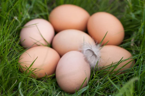 Куриные яйца, лежащие в зеленой траве — стоковое фото