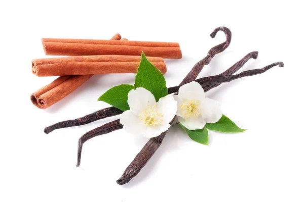 Palitos de vainilla y canela con flor aislada sobre fondo blanco — Foto de Stock