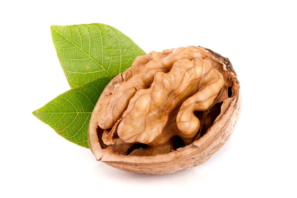 Walnut with leaf isolated on white background — Stock Photo, Image